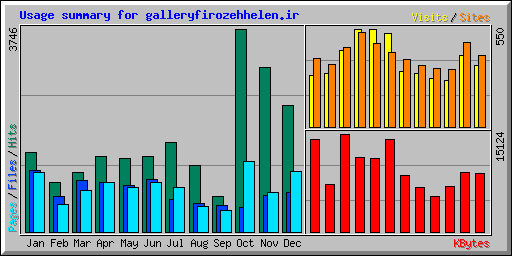 Usage summary for galleryfirozehhelen.ir